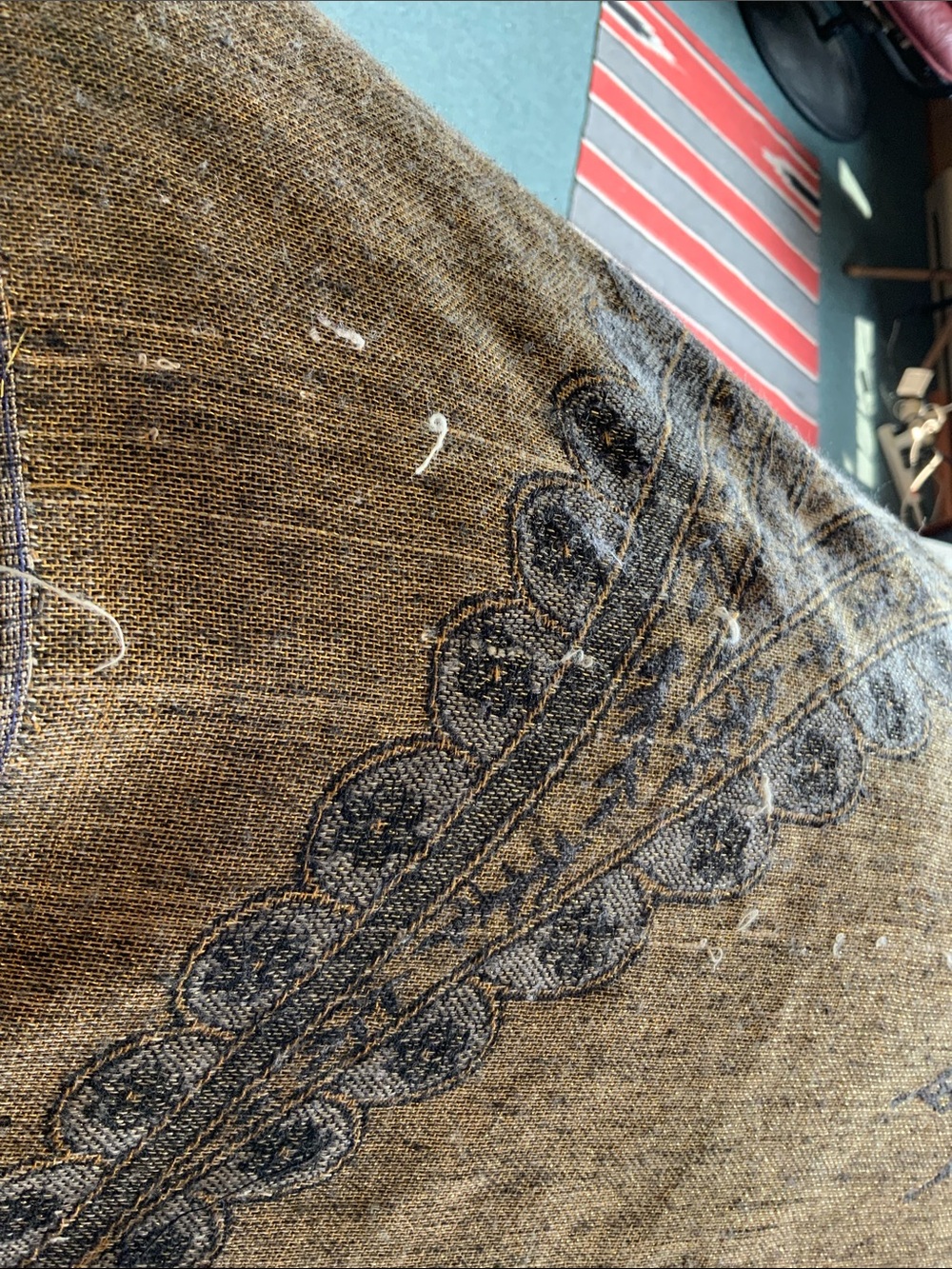 Pashmina - Picture 5 of 6